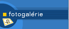 Fotogal�ria