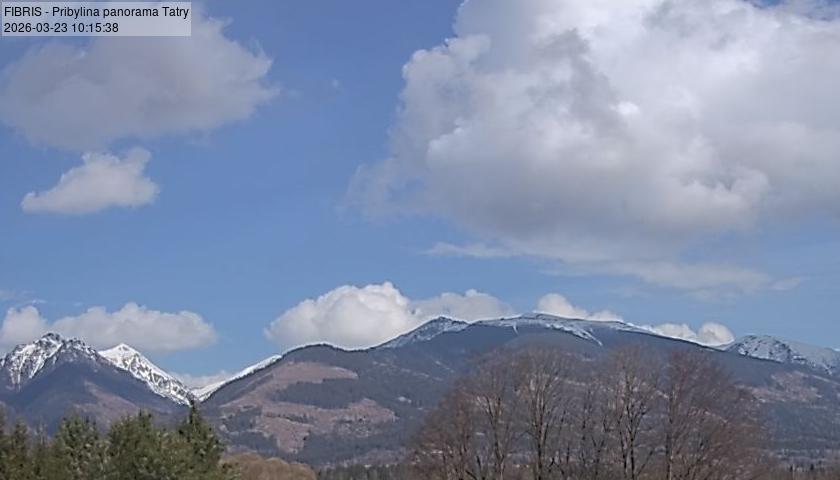 Zvolen&acute; kamera